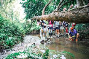 BIB: 
                            <button type="button" onclick="openModal(25474967)" class="btn btn-primary btn-sm float-right btn-popup" data-toggle="modal" data-target=".modal-high-quality">
                        <i class="fas fa-shopping-cart"></i> Add to Cart
                    </button>
                                            <button type="button" onclick="isThisMe(25474967, true)" class="btn btn-success btn-sm float-right btn-popup btn-isme hidden" data-toggle="tooltip" data-placement="bottom" title="นี่คือรูปของคุณใช่ไหม คลิกที่นี่เพื่อเอาเข้าอัลบั้ม">
                        <i class="fas fa-plus"></i> Add to album
                    </button>
                    <button type="button" onclick="isThisMe(25474967, false)" class="btn btn-warning btn-sm float-right btn-popup btn-isnotme hidden">
                        <i class="fas fa-ban"></i> Remove from album
                    </button>